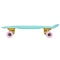 Cal 7 22-Inch Mint Mini Cruiser