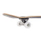 Cal 7 Complete Skateboard | 7.5 Signal