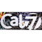 Cal 7 Cabana 8.0 Inch Skateboard Deck